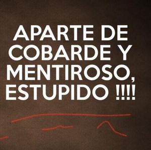 Meet your Posher, Mirna